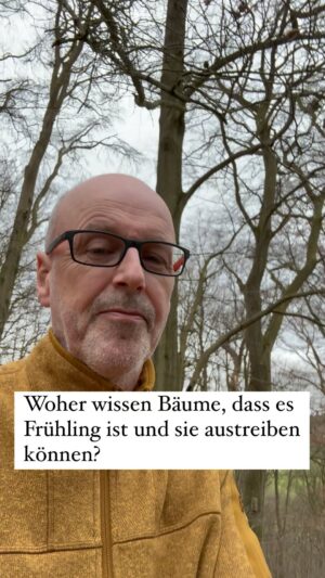 Peter Wohlleben Instagram - Woher wissen die Bäume, dass es Frühling ist und sie austreiben können? Sie haben nämlich Angst vor Spätfrösten! Bei Buchen ist es so, dass sie erst dann neue Blätter treiben, wenn die Tageslänge mindestens 13 Stunden beträgt. Aber wie sehen sie das? Das Rätsels Lösung liegt in den Knospen. #wald #waldliebe #wohllebenswaldakademie #wohllebenswelt #naturelovers #naturliebe #baum #bäume