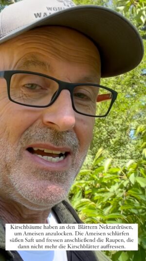Peter Wohlleben Instagram - 