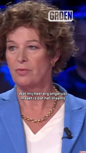 Petra De Sutter Instagram - Groen zal er altijd zijn om de mensenrechten te verdedigen. 

Vandaag, morgen en alle dagen.

#HetGroteDebat #Stem24