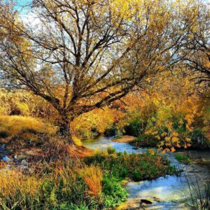 Peyton Clark Instagram - Just thought I’d bless your feed with some pretty nature photos... All of these shots courtesy of my dad. 🍁

We now return to your regularly scheduled Instagram posts.