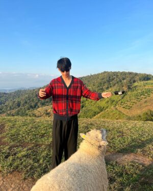 Phachara Suansri Instagram - ขอให้เป็นปีที่ดีสำหรับทุกคนครับ :) Have a good year☀️