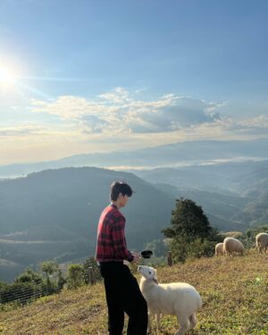 Phachara Suansri Instagram - ขอให้เป็นปีที่ดีสำหรับทุกคนครับ :) Have a good year☀️