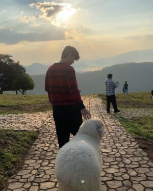Phachara Suansri Instagram - ขอให้เป็นปีที่ดีสำหรับทุกคนครับ :) Have a good year☀️
