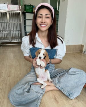 Pheeraya Phuangsombut Instagram - มีใครอยากได้เจ้าดื้อไปเลี้ยงมั้ยคับ #บีเกิ้ล พลังล้นเหลือสุดๆ 🐶🦴