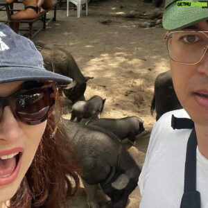 Phil Wang Instagram - Found out why they call it THAI-land (they eat a lot of Thai food there) 🇹🇭🐖🏝️🚤