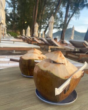 Philippa Coulthard Instagram - I’ve had a lot of coconuts in Thailand so far, but this one is definitely the best!  @intercontinentalphuket 🌴🥥