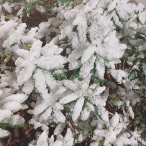 Phương Chị Instagram - 雪❄️