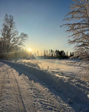 Pia Johansson Instagram - God Jul!💖