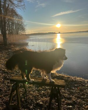 Pia Johansson Instagram - Vår i luften💚
