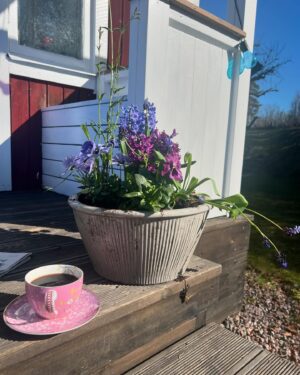 Pia Johansson Instagram - Tack @orbyhusslottstradgard för att våren Äääääntligen kom in till mitt hus! Alltid fina blommor o trevligt bemötande! Nu kan vi dricka kaffe på trappan! Ett vårtecken! Glad sista april ALLA vårsugna!