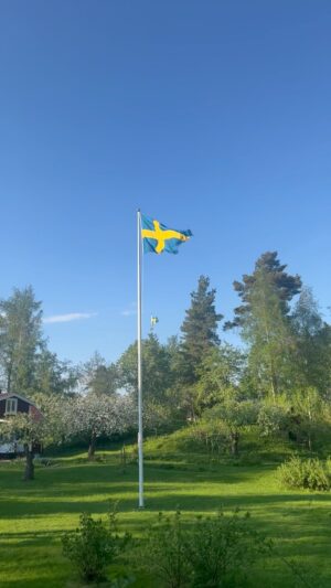 Pia Johansson Instagram - Jag har blivit med Flaggstång! Vuxenpoäng på det! Glad Pingst alla!