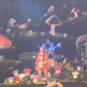 Piche Instagram - Petit dump ça faisait longtemps et il se passe tellement de choses en ce moment que j’ai du mal à suivre ( mais je suis malgré le dernier slide bitch n’essaie même pas j’te vois venir 👀👊 ) 

Deja Merci @solidays pour l’invitation 🫶 maintenant j’ai débloqué un nouveau petit dream tout en aérant mon esprit 🥹❤️
En compagnie @justeknl @itsmemontemarco clairement je REVIENDRAIS ✊

On a défendu nos droits sur @mediapart et place de la république en manif et concert ! Rencontrer des gens incroyable à la pride et pendant l’événement @nyxcosmetics_france à saint lazare ( c’était TELLEMENT FAB ) et une photo d’un événement dont je peux pas parler for now 😏 

Bref merci la vie malgré ces temps difficiles et merci à vous promis j’vous le rendrez un jour promis quand on se croisera dans un Lidl j’vous ferais des câlins ❤️