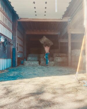 Pierson Fodé Instagram - Hay, chaff, chaps and 5 baby rabbits. These were the ingredients chosen to make the dustiest farmers alive. But Fodé farms; father, son and dog trio accidentally loaded during the hottest days in may. Slowly losing the battle to clothes drenched in sweat their clothes once again went missing in action. After defeating 24tons of hand loaded and unloaded hay they returned home victorious. only to be sprayed down by mom with the garden hose… and then I flew off the next morning to film another movie 🎥 #farmfit P.S. Someone needs to give my dad a raise for taking photos while we’re loading cause these are better than most red carpets in LA 😂