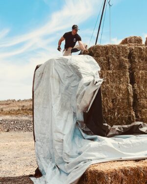 Pierson Fodé Instagram - Hay, chaff, chaps and 5 baby rabbits. These were the ingredients chosen to make the dustiest farmers alive. But Fodé farms; father, son and dog trio accidentally loaded during the hottest days in may. Slowly losing the battle to clothes drenched in sweat their clothes once again went missing in action. After defeating 24tons of hand loaded and unloaded hay they returned home victorious. only to be sprayed down by mom with the garden hose… and then I flew off the next morning to film another movie 🎥 #farmfit P.S. Someone needs to give my dad a raise for taking photos while we’re loading cause these are better than most red carpets in LA 😂