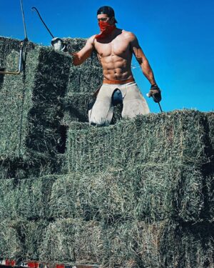Pierson Fodé Instagram - Hay, chaff, chaps and 5 baby rabbits. These were the ingredients chosen to make the dustiest farmers alive. But Fodé farms; father, son and dog trio accidentally loaded during the hottest days in may. Slowly losing the battle to clothes drenched in sweat their clothes once again went missing in action. After defeating 24tons of hand loaded and unloaded hay they returned home victorious. only to be sprayed down by mom with the garden hose… and then I flew off the next morning to film another movie 🎥 #farmfit P.S. Someone needs to give my dad a raise for taking photos while we’re loading cause these are better than most red carpets in LA 😂