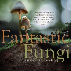 Pilar Holland Instagram - Have you seen @fantasticfungi? Do yourself a favor. Watch it!
.
It’s a visually beautiful film that dives into the magic of the very ground we stand on. Did you know trees can share nutrients with each other through their root systems and mushrooms are the soul of our soil? So much is going on right beneath our feet. Watch and see for yourself. Absolutely breathtaking and so so powerful. If you don’t believe me.... @latimes said “Mushrooms are the new superheroes!” 🍄✨✨