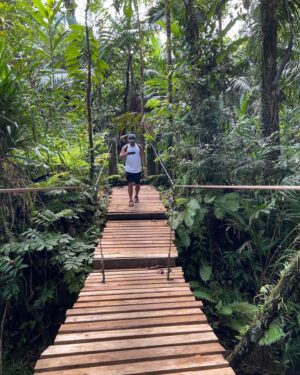 Poh-Shiang Lee Instagram - 海裡去山裡也要爬啊！！
帛琉🇵🇼安得貌大瀑布⋯朝聖景點之一！！
適合加入陸地行程表之一。
車程約40分鐘，爬下瀑布約25分鐘，路途全天然山路，水坑 河流 陽光 大自然，到的時候只有驚嘆不已，還有小小彩虹🌈美景，忍不住就把衣服脫了，衝了進去！！！🐬只能說愛好大自然的朋友們！
你們一定會喜歡。
 
#安得貌大瀑布 #帛琉 #瀑布 #百悅大飯店 #陸上行程 #大自然的美 

@seapassionhotel_palau 
@funpalauholiday