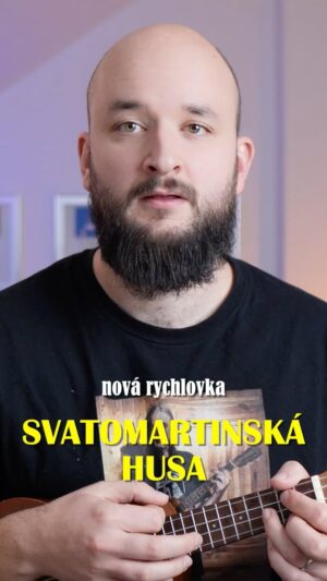 Pokáč Instagram - Hlavní téma tohodle víkendu je jasný: lokše nebo knedlíky? 🪿👇