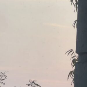 Prateek Kuhad Instagram - March 2024 

1. Delhi skies 
2. Morning view 
3. Absolutely grapefruit 
4. Font tryouts 
5. Dusk from the studio window 
6. Lodi Garden
7. Jewels
8. Evening traffic with Bruce Hornsby 
9. Pre zoom shenanigans 
10. Goji vs cat