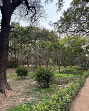 Prateek Kuhad Instagram - March 2024 

1. Delhi skies 
2. Morning view 
3. Absolutely grapefruit 
4. Font tryouts 
5. Dusk from the studio window 
6. Lodi Garden
7. Jewels
8. Evening traffic with Bruce Hornsby 
9. Pre zoom shenanigans 
10. Goji vs cat