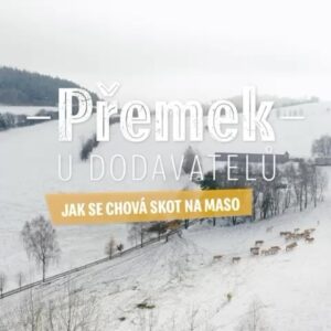 Přemek Forejt Instagram - Koncem listopadu jsem se vypravil na Vysočinu, abych zjistil, kde se chová skot na maso do 🍔. Rodinná farma Chroust je jednou ze tří set welfare farem v Česku, která dodává 🥩 pro Mekáč. Jak tu 🐮 žijí, čím se krmí a jak se zajišťuje, aby měly co nejkvalitnější maso? To vše se dozvíte z mé další cesty za dodavateli @mcdonalds.cz v novém videu. Link máte ve stories a pak jej uložím do výběrů #mcdonalds #spolupráce
