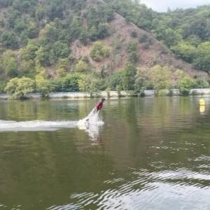 Přemek Forejt Instagram - Poslední souboj jsem si zase vyzkoušel skvělou věc. Myslím že jsem si našel svůj styl na delfína nebo na Zohana?