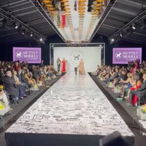 Presley Richardson Instagram - Mutts to Models & @mardipawspresents …We had a great time raising money for people and pets through Scott’s Wish Foundation and The Duco Project @wardoggduco #dogrescue #dogs