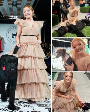 Presley Richardson Instagram - Mutts to Models & @mardipawspresents …We had a great time raising money for people and pets through Scott’s Wish Foundation and The Duco Project @wardoggduco #dogrescue #dogs