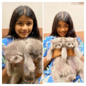 Pritam Chakraborty Instagram - My Pet with Her Pets 
'Oliver and Amour' 🐱🐱

On the next pic She is letting me hold them for a bit 😊

#newmembers