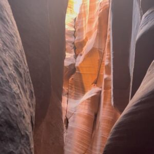 Priya Paramita Paul Instagram - When a laptop wallpaper becomes the reality…

#priyaparamitapaul #grandcanyon #arizona #dreamcometrue #travelphotography