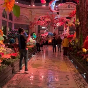 Priya Paramita Paul Instagram - Imagine a beautiful manifestation and you are living in it…
#priyaparamitapaul #manifestation #lasvegas #vegasbaby #travelqueen
