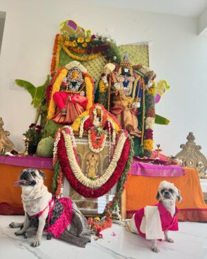 Priyanka Chincholi Instagram - RP ONE
@rakesh170684 

#arjuntheshihtzu #kissethepug 

"A house is not a home without a "FUR BABYS"❤️

#furbabymom #furbabymomma #furbabymommy #furbabyfriday #furbabyparentlife dogsofig #dogsitting #dogslife #dogsofinstaworld #dogscorner #dogsofinstgram apartmentliving #apartmentdecor #apartmentlife #apartmentsforrent #apartmentdesign #love #life #indian #kannadaactress #banglore #gulbarga