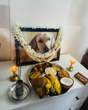 Priyanka Thimmesh Instagram - ನನ್ನ ಕ್ಷಮಿಸಿ ಬಿಡು ಕಂದಮ್ಮ💔
