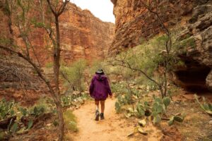Punarnavi Bhupalam Instagram - This 3 day backpacking trip to Havasupai is a core memory for me. 
.
.

Reaching Havasupai involved a hike of around 10 miles (16 km) from the Hualapai Hilltop trailhead. The trail descends into the Grand Canyon, leading to the Havasu Creek and the Havasupai Reservation. Along the way, we encountered stunning landscapes, waterfalls, and the famous turquoise-blue waters of Havasu Falls, Mooney Falls, Beaver Falls and a lot more. It’s a challenging but incredibly rewarding adventure, It was my first ever proper backpacking trip too
.
.
In three days at Havasupai, we hiked over 50km. Thriving beyond my comfort zone, I found my stride, pushing upward, conquering rugged terrain, and discovering strength and resilience with every step.
.
.
.
I wouldn’t have completed this without the Havasu gang 🫂