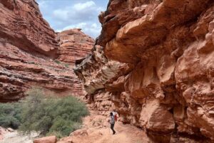 Punarnavi Bhupalam Instagram - This 3 day backpacking trip to Havasupai is a core memory for me. 
.
.

Reaching Havasupai involved a hike of around 10 miles (16 km) from the Hualapai Hilltop trailhead. The trail descends into the Grand Canyon, leading to the Havasu Creek and the Havasupai Reservation. Along the way, we encountered stunning landscapes, waterfalls, and the famous turquoise-blue waters of Havasu Falls, Mooney Falls, Beaver Falls and a lot more. It’s a challenging but incredibly rewarding adventure, It was my first ever proper backpacking trip too
.
.
In three days at Havasupai, we hiked over 50km. Thriving beyond my comfort zone, I found my stride, pushing upward, conquering rugged terrain, and discovering strength and resilience with every step.
.
.
.
I wouldn’t have completed this without the Havasu gang 🫂