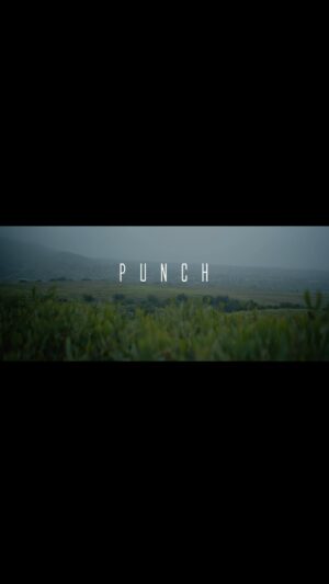 Punch Instagram - With the words…