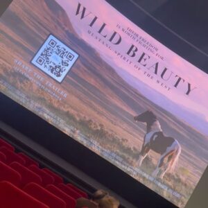 Rachel Melvin Instagram - The premiere of @wildbeautyspirit was absolutely incredible. We were so grateful to have been able to support such an important cause and to help spread #awareness about an issue most people are unaware of. Please check out this incredible #documentary by my friend and talented director @ashleyavis #WildHorses need our help and the public needs to be aware of the abuse taking place to wild animals in our country
.
.
.
.
#wildhorses #wildanimals #animalabuse #animalabuseawareness #blmmustang #blm #government #wildmustang #politicalawareness #nationalpark #nationalparkservice