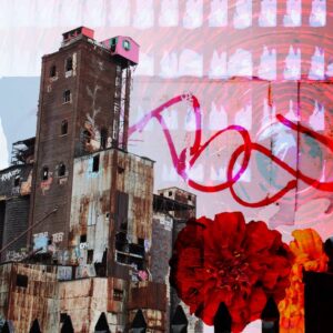 Rachel Osborne Instagram - Composite of pics I took around St Henri yesterday afternoon.
Shot with Cannon Rebel EOS T7
Finished in photoshop
Homage to the little pink house. 🏠
#photoshop #design #composite #collage #industrial #floral #flowers #grafitti #overlay #montreal #sthenri #lachinecanal #photography #cannonrebel #cannon #littlepinkhouse #mcauslanbrewing #mcauslan #art #designschool
