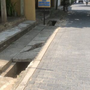 Rachel Viccaji Instagram - More Lanka…what I could fit here of the times I took the trouble to pull out my phone and document.