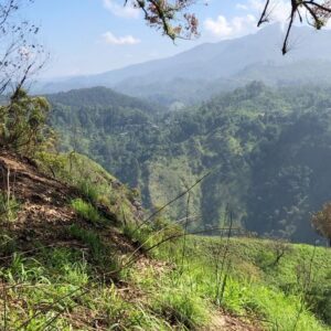 Rachel Viccaji Instagram - More Lanka…what I could fit here of the times I took the trouble to pull out my phone and document.