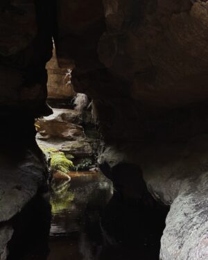 Rae Johnston Instagram - This morning’s walk on Darug Country, quiet gratitude-filled moments by the water in this sacred women’s place 🤎

If you visit here please be respectful and stay behind the barriers in the cave x 

#bluemountains #darugcountry #wallscave