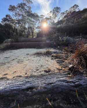 Rae Johnston Instagram - This morning’s walk on Darug Country, quiet gratitude-filled moments by the water in this sacred women’s place 🤎

If you visit here please be respectful and stay behind the barriers in the cave x 

#bluemountains #darugcountry #wallscave