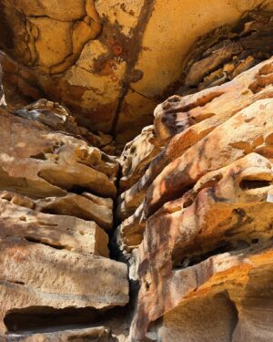 Rae Johnston Instagram - Headed down via Silver Cascades, Victoria Falls and Victoria Creek to the Burra Korain campground today. A chilly start (my car was iced up!) bur it soon warmed up - and I beat the rain! 

The campground sits right where the creek meets the Grose River, and is a pretty spectacular spot. 

Took me about 4 hours to get down there and back up again, some slippery sections and ankle deep river crossings but nothing too hairy. I was soaked by the time I got back just from the moisture in the air from the falls and the humidity.

Definitely coming back to stay overnight 🤎

#bluemountains #hiking #grosevalley
