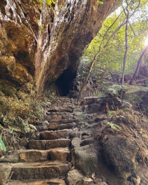Rae Johnston Instagram - Moments from today’s Grand Canyon bushwalk 🤎 

This is one of the most popular walks in the mountains, so getting on track on a weekday means I’m not queuing instead of hiking 😂

#bluemountains #grandcanyon #darugcountry
