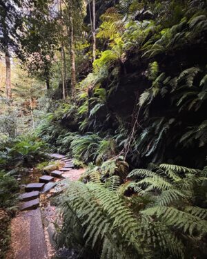 Rae Johnston Instagram - Moments from today’s Grand Canyon bushwalk 🤎 

This is one of the most popular walks in the mountains, so getting on track on a weekday means I’m not queuing instead of hiking 😂

#bluemountains #grandcanyon #darugcountry