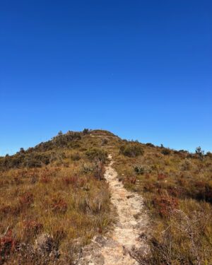 Rae Johnston Instagram - The sun and moon sharing the sky, sandstone paths, grass trees, huge ancient cliff faces, and that beautiful river flowing in the deep valley below 🤎 

Today’s walk on Wiradjuri, Darug & Gundungurra Country - making the most of the clear skies while they last, looking wet and below freezing next week! 

#bluemountains #rigbyhill #piercespass #wiradjuricountry #darugcountry #gundungurracountry