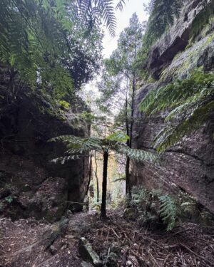 Rae Johnston Instagram - 3 and a bit hours of down then up (and up, and up) stairs to one of my favourite places in the world 🤎

Also: one of the many, many reasons @jiggsy2point0 is the best ❤️

#perryslookdown #bluegumforest #govettscreek #bluemountains #darugcountry