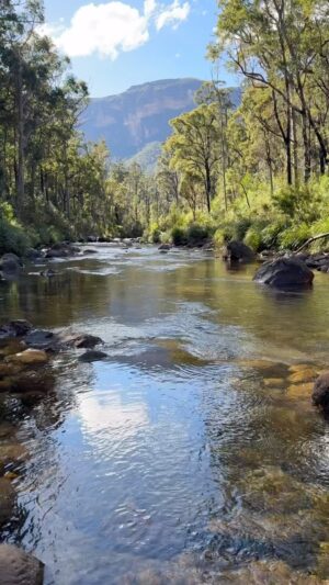 Rae Johnston Instagram - Govett’s Creek, Blue Gum Forest, Grose Valley, Darug Country 🤎

Walked down and then up the equivalent of 151 floors to get to my morning tea spot today. Didn’t disappoint 😍

Apple from @loganbraeorchard 

#bluemountains #govettscreek #bluegumforest #darugcountry