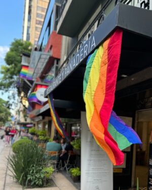 Rafaela Covas Instagram - Pride Month. Typically June. Dedicated to the celebration of LGBTQ  pride.

Inspired by the Stonewall riots, a series of gay liberation protests that took place over several days beginning on June 28, 1969. The riots began after a police raid happened at a gay bar located within Lower Manhattan in New York City.

1969! Sometimes I feel humanity has come a long way on this subject, sometimes not. It's been a long time... and, again and again, I remember that change must come from the inside. 

If you don't accept me, maybe there is a part of me that doesn't accept myself yet. 

Again and again, I decide for EVOLUTION instead of REVOLUTION.

I'm committed, more and more, to expand the acceptation of all the parts of me and all the roles I assume in this society. I believe it’s the best I can do to contribute. To march, to dance and to accept myself more and more…!

To all the brothers and sisters and others out there, I wish one day I’m able to celebrate myself as I celebrate all of us. If only we could do that, we would finally realise we need no labels. We are all just human beings made of love.

•
•
•

#pride #lgbt #lgbtq #pridemonth #lgbtpride  #pride2024 #pridemexico #pridecdmx #pride🌈