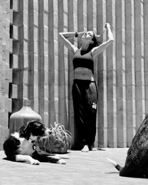 Rafaela Covas Instagram - Amélia is not my whole life, but she makes my life whole.

•
•
•

#dog #doglover #doglife #dogphotography #dogphoto #dogpics #dogpeople #dogphotos #ilovemydog #dogsofinstagram #dogmom #instadog #dogmodel #dogworld #mydog #dogdays #doglovers #dogs